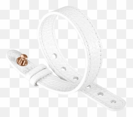 Blue Philip Stein Leather Strap For Steel Icon 10 - Cblst Solid png