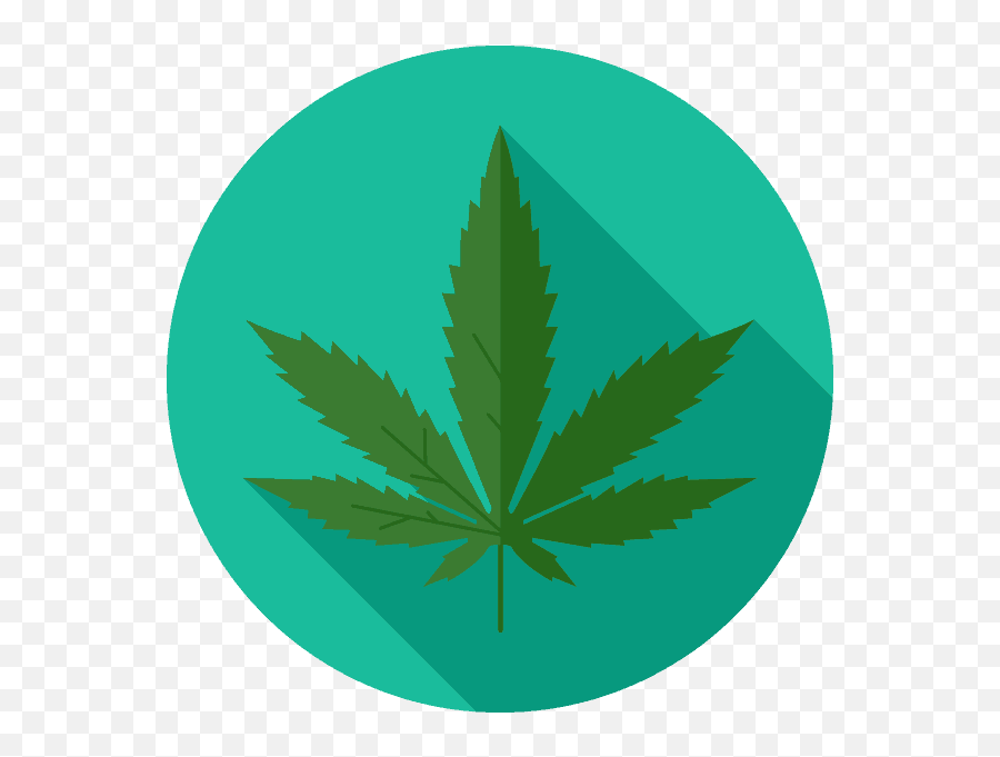 Cannabis Product Reviews And Current - Illustration Png,Marijuana Plant Png