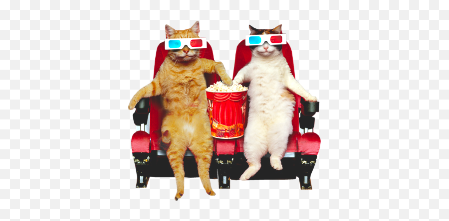 Meme Creator - Cat Popcorn Meme Generator At Memecreatororg Cats At The Movies Png,Meme Glasses Png