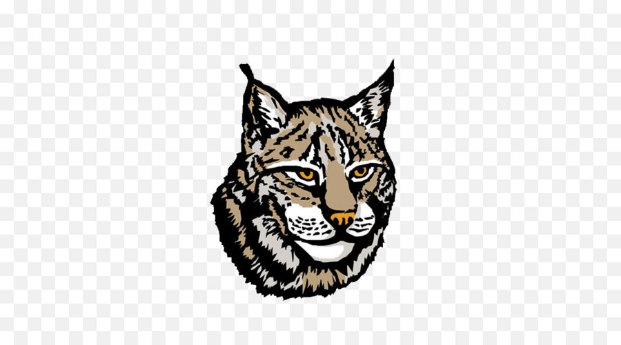 Lynx Png Image Icon Favicon - Transparent Lynx Clipart,Lynx Icon