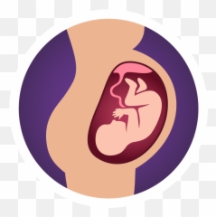 Blog From August 2020 - NICHD Connection ScienceNICHD png