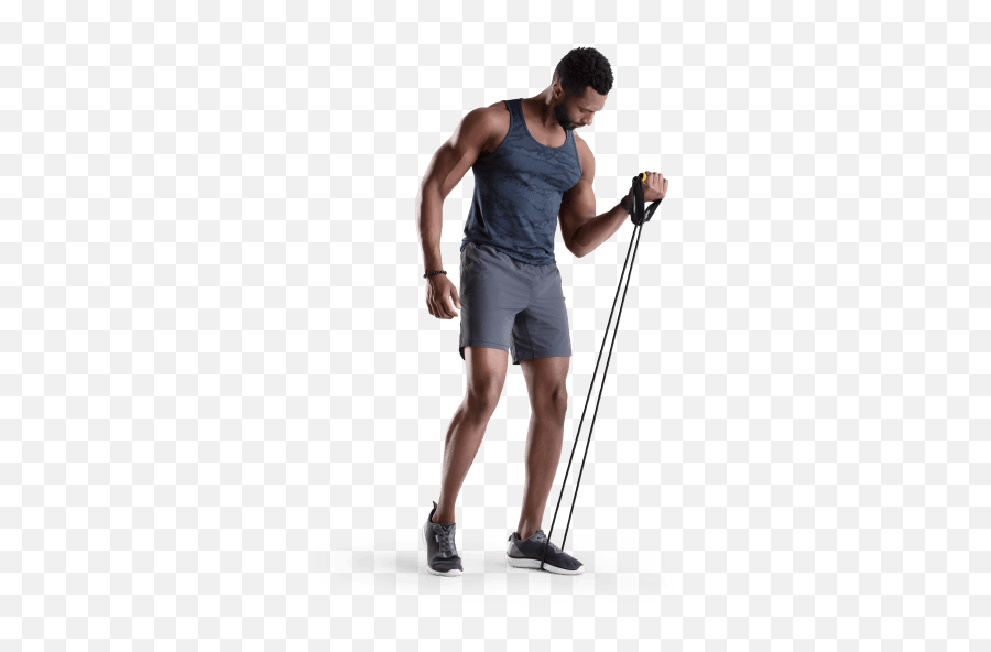 Home Fitness Accessories Proform - Walking Stick Png,Muscle And Fitness Books Icon