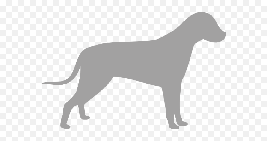 Petprobio Prebiotic Supplement For Pets - Silhouette Purple Dog Clipart Png,Labrador Icon