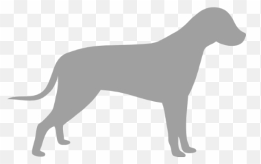 Petprobio Prebiotic Supplement For Pets - Silhouette Purple Dog Clipart png