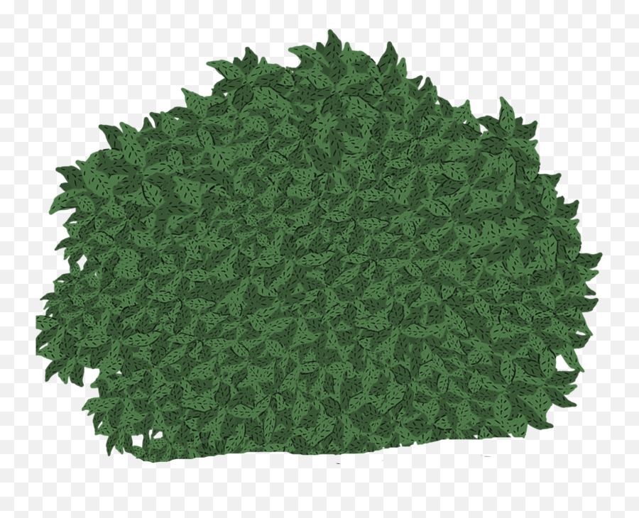 Download Hanging Moss - Crochet Png,Moss Png