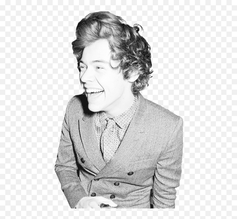 Download Hd Harry Styles Transparent Tumblr - Harry Styles Harry Styles Brit 2013 Png,Harry Icon
