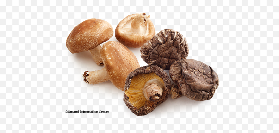 Shiitake Mushroom Png 5 Image - Shitake Mushroom Transparent Background,Mushroom Png