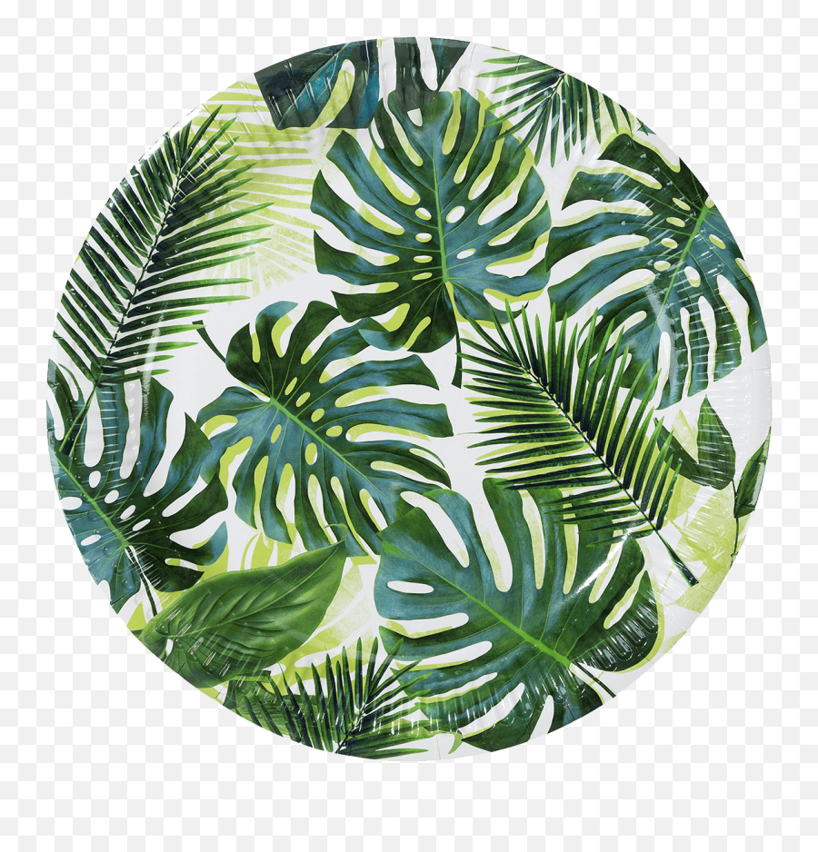 Tropical Palm Leaf Paper Plates - Palm Leaf Paper Plates Png,Palm Leaves Transparent