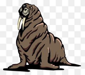 Walrus Flippers Wrinkles - Clip Art png