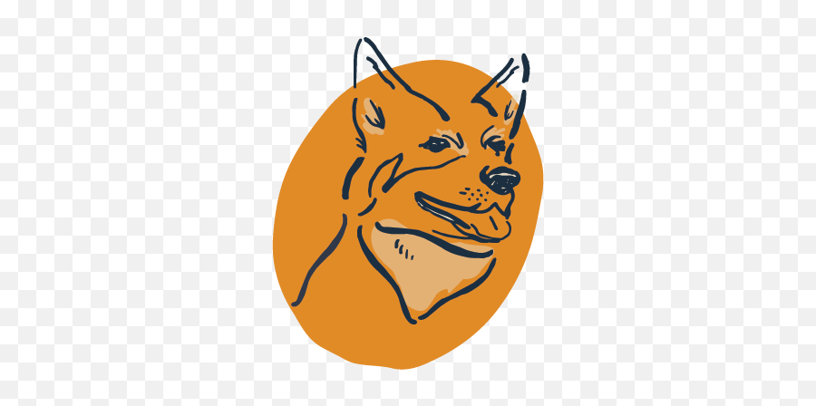 About U2014 Dogtown Brewing Co - Finnish Spitz Png,Doggo Png