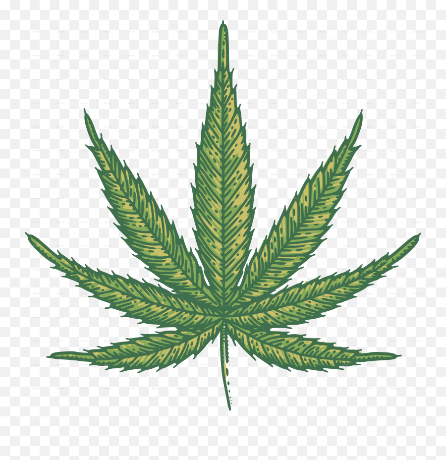 Marijuana Leaves - Weed Vector Png,Marijuana Leaf Png