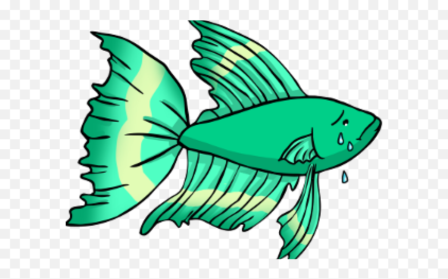 Tropical Fish Clipart Betta - Do Bettas Get Lonely Png,Betta Fish Png