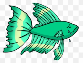 Tropical Fish Clipart Betta - Do Bettas Get Lonely Png,Betta Fish Png