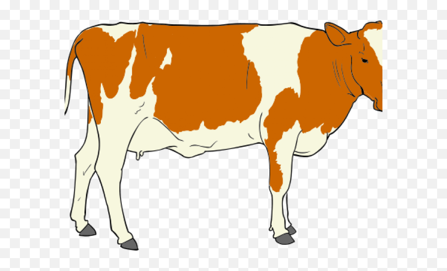 Pair Clipart Cow - Png Download Full Size Clipart Cow Clipart Transparent Background,Cow Head Png