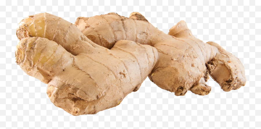 Ginger Transparent - Transparent Ginger Png,Ginger Png