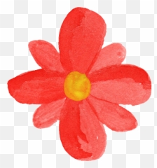15 Watercolor Flowers Transparent - Painting png