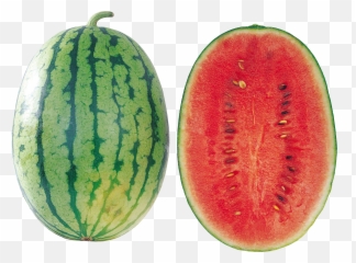 30 Watermelon Png Images Are Free To Download - Imagenes De Sandia Png,Melon Png