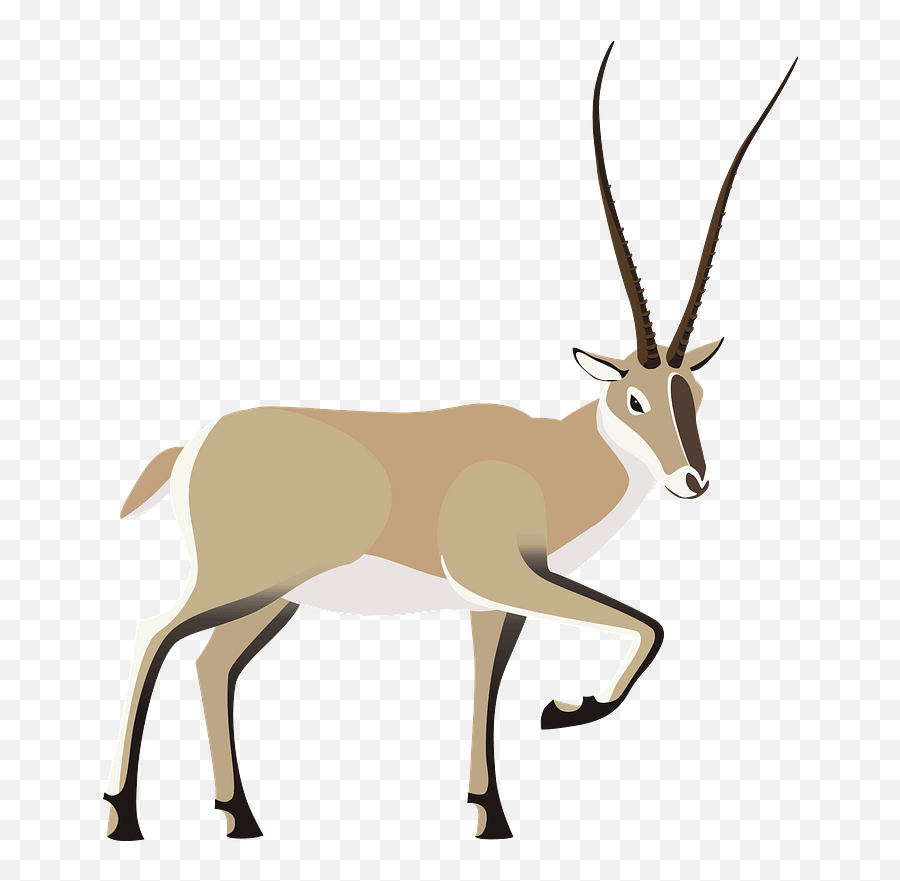 Tibetan Antelope Clipart - Antelope Clipart Png,Antelope Png