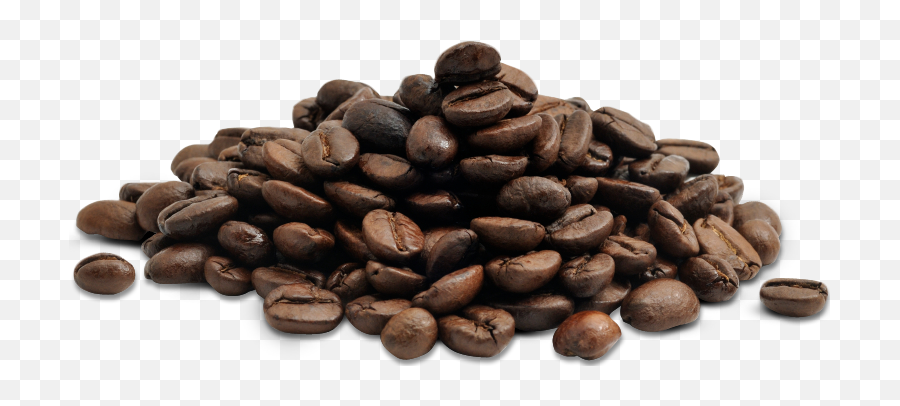 Coffee Beans Png Free Download 15 Images - Aloe Vera And Coffee,Beans Png