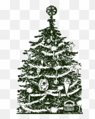 Background Pohon Natal Png Transparent - Christmas Tree Public Domain,Natal Png