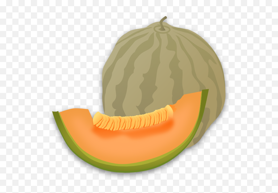 Watermelon Clipart Honeydew - Musk Melon Clipart Png,Honeydew Png