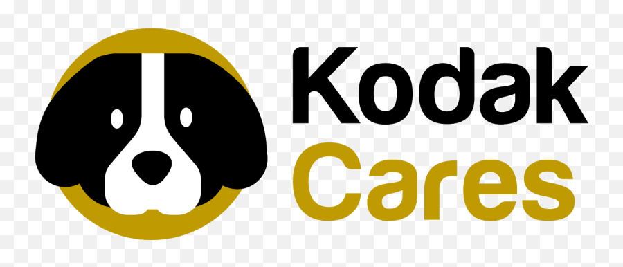 Nonprofit Organization - The Museum Of Contemporary Art Png,Kodak Logo Png