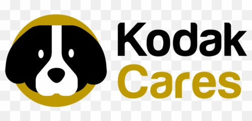 Nonprofit Organization - The Museum Of Contemporary Art Png,Kodak Logo Png