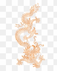 China Transparent Full Body Picture - Chinese Dragon png