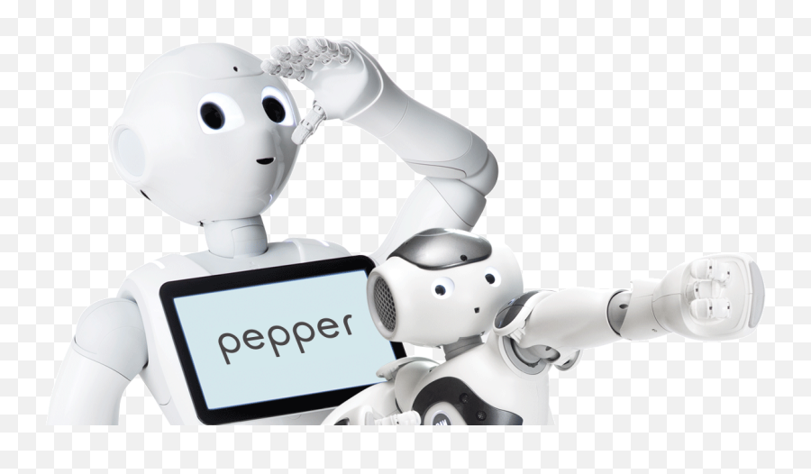 Softbank Robotics Humanoid And Programmable Robots - Services Robots Png,Robot Transparent