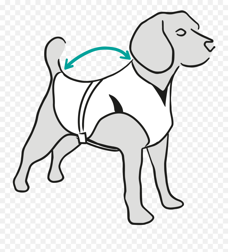 Dry Cooling Vest - Suitical Mps Hond Png,Icon Vest