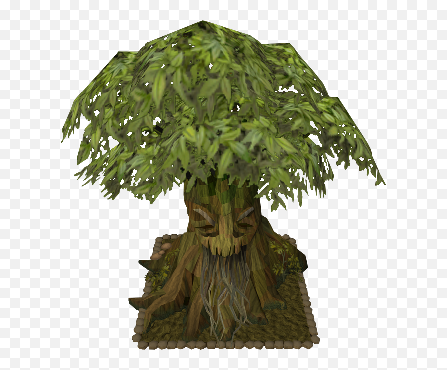 Spirit Tree - Portable Network Graphics Png,Tree Canopy Png
