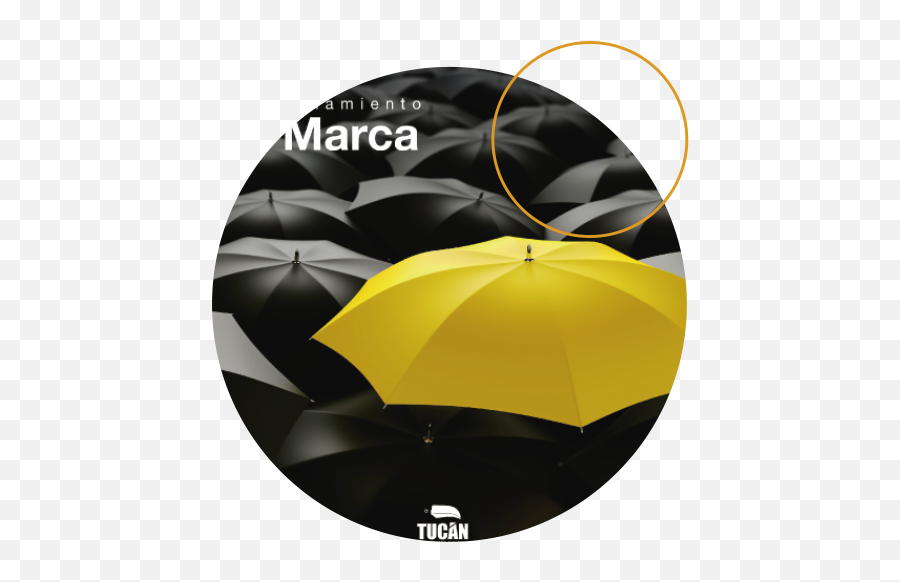Tucán Agencia Marketing Digital Barranquilla Bogotá - Yellow Umbrella Png,Tucan Png