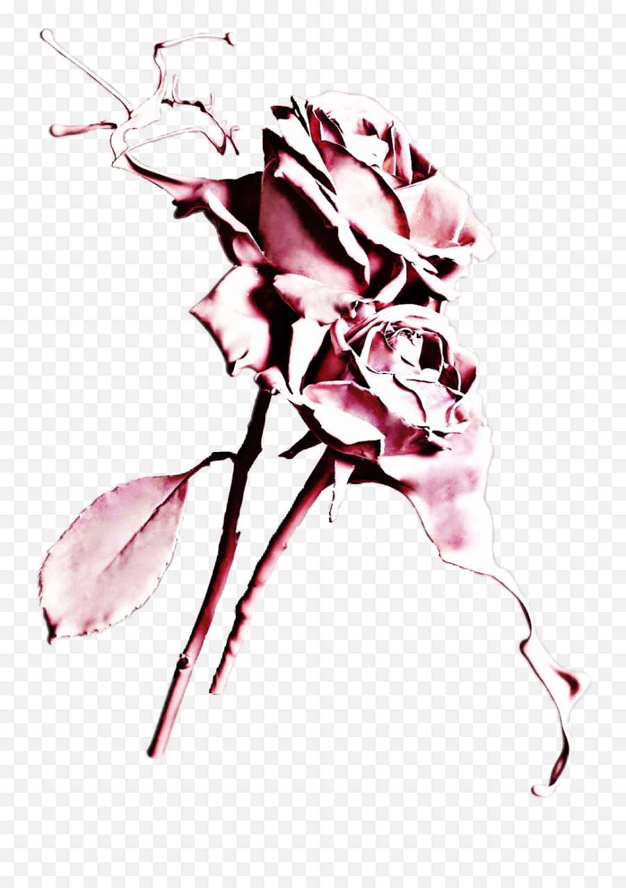 Download Dripping Drawing Rose - Fond D Écran Tumblr Rose Aesthetic Flower Wallpaper Phone Png,Dripping Paint Png
