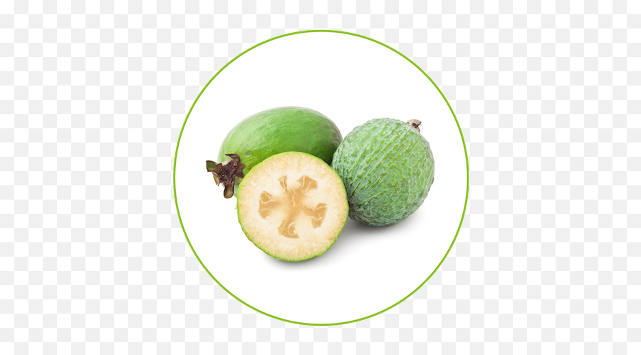 Interesting Feijoa Facts U2014 Addiction - Feijoa Fruit Png,Fruit Png Images