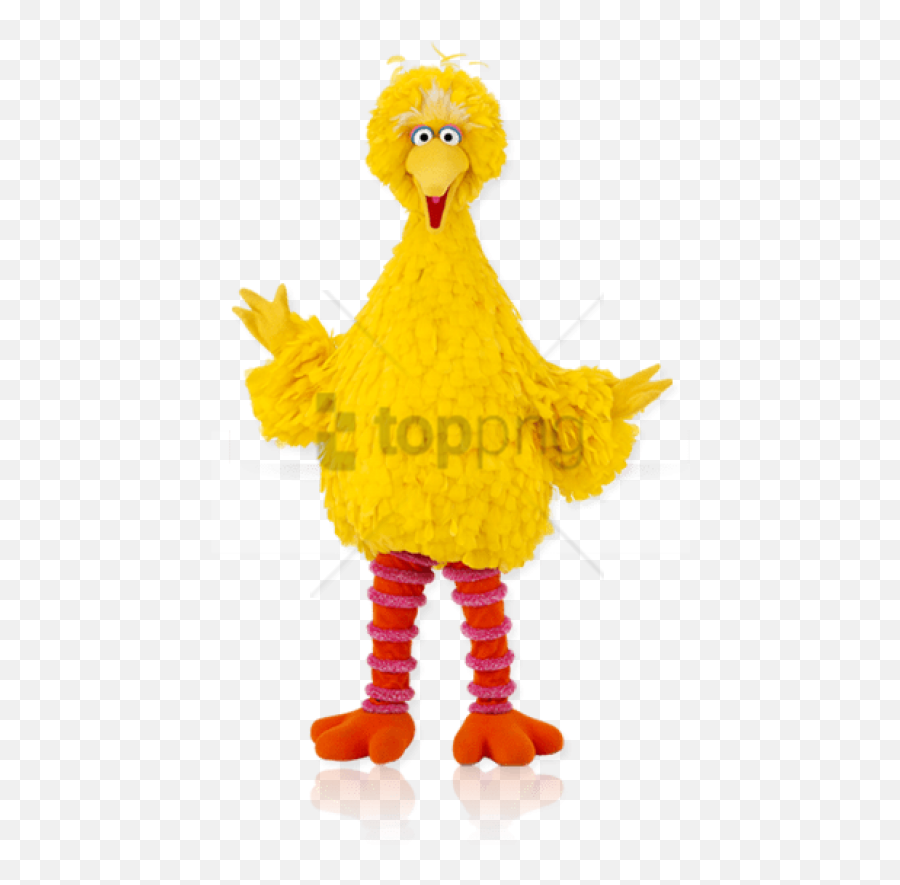 Big Bird High Resolution Png Images - Big Bird,Sesame Street Characters Png