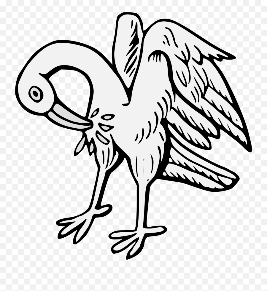 Pelican - Traceable Heraldic Art Illustration Png,Pelican Png
