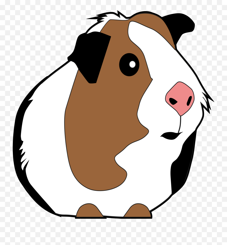 Transparent Background Guinea Pig Clipart - Clipart Guinea Pig Png,Pig Transparent