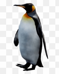 King Penguin Png Free - King Penguin,Club Penguin Png