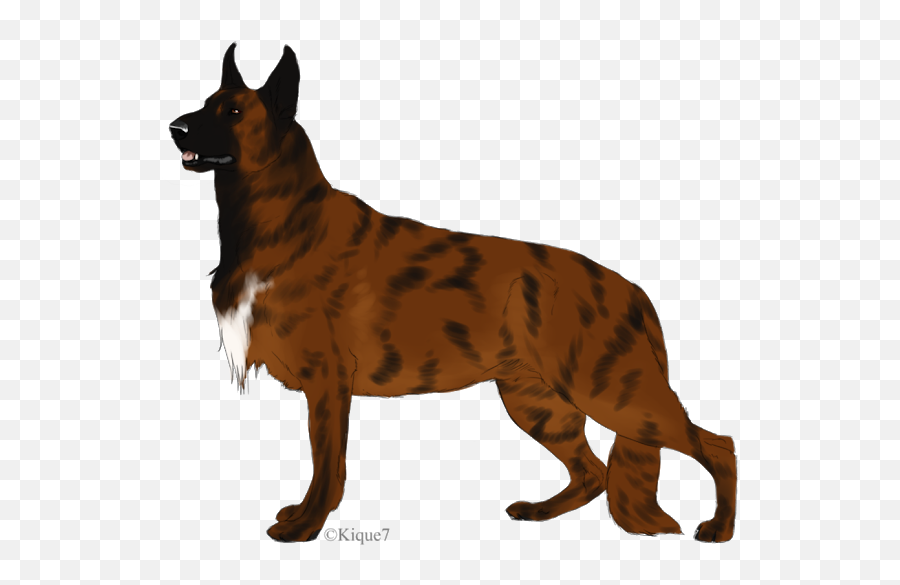 German Shepherd Puppies Moose Art - Great Dane Clipart German Shepherd Png,Great Dane Png