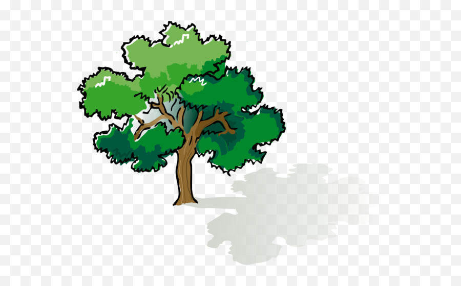 Colored Oak Tree Vector File For Free - Tree Drawing Png,Oak Tree Silhouette Png