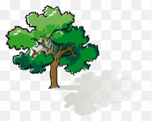 Colored Oak Tree Vector File For Free - Drawing Png