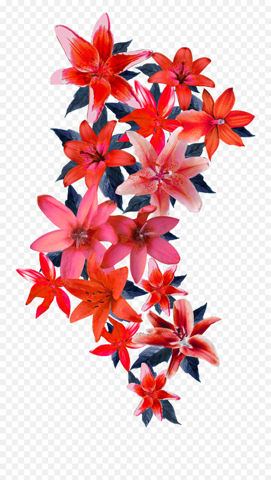 Vector Flower Design 2314 - Flower Design Png Vector,Floral Designs Png