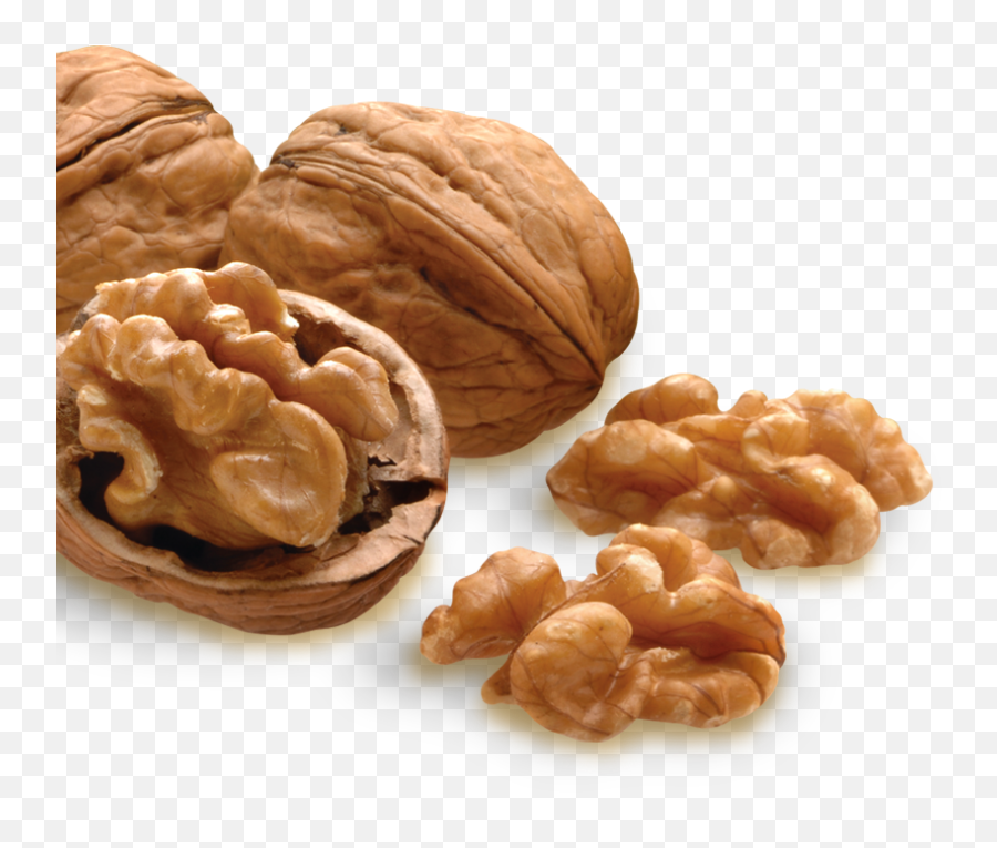 Nut Png Image Transparent - Walnuts Nuts Png,Nut Png
