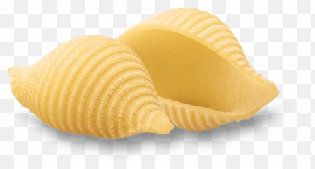 Shells No - Conchiglie Rigate De Cecco Png,Seashell Transparent