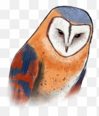 Wip - Barn Owl Png,Barn Owl Png