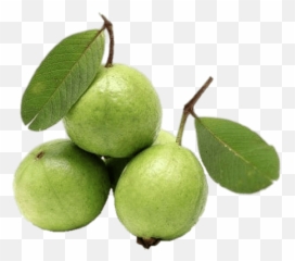 Whole Guava Transparent Png - Guava,Guava Png