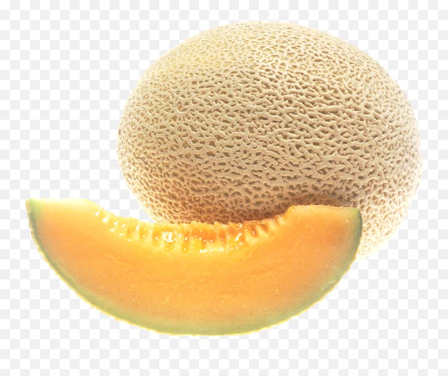 Cantaloupe Png Image - Cantaloupe Transparent Background,Melon Png