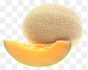Cantaloupe Png Image - Cantaloupe Transparent Background,Melon Png