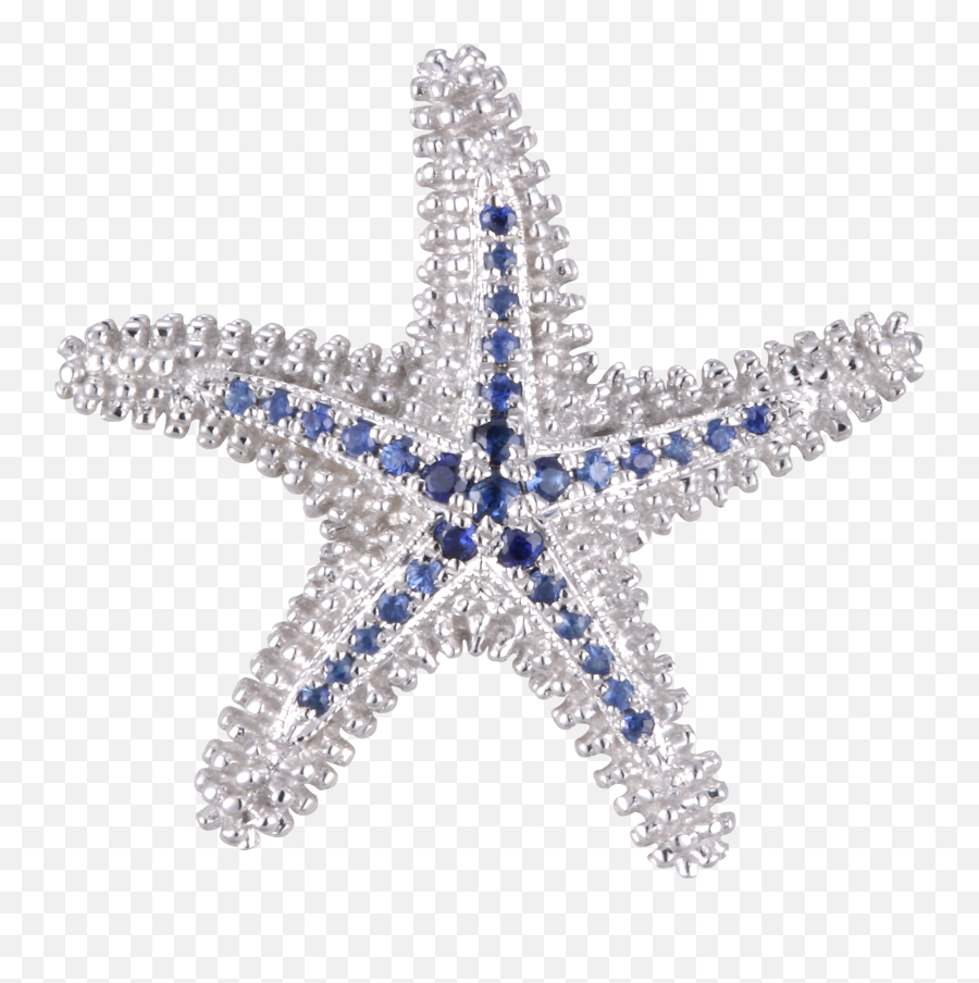 Download Starfish Beach Collection Char - Portable Network Graphics Png,Star Fish Png