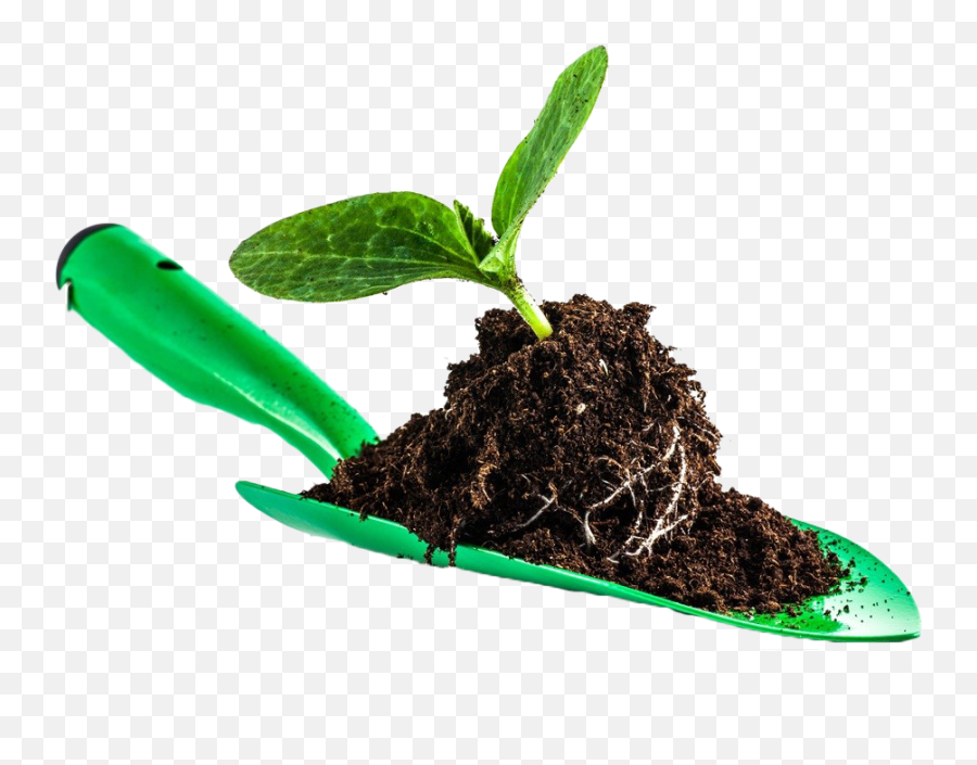 Download Leaves In Soil Png Image For Free - Plant In Soil Png,Soil Png